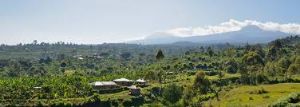 Foothills of Mt Kilimanjaro